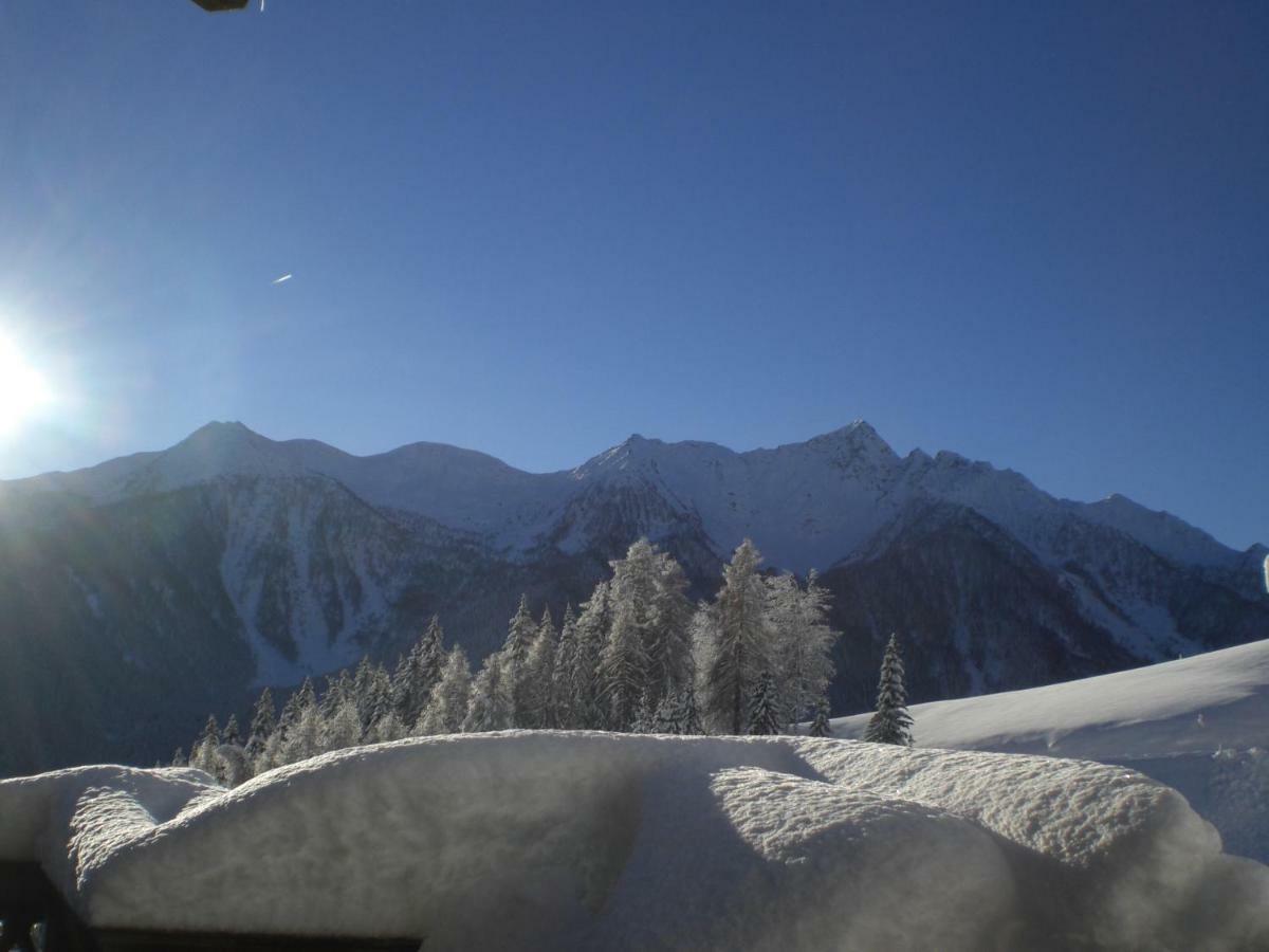 Chalet Niederhaushof ウルティモ エクステリア 写真