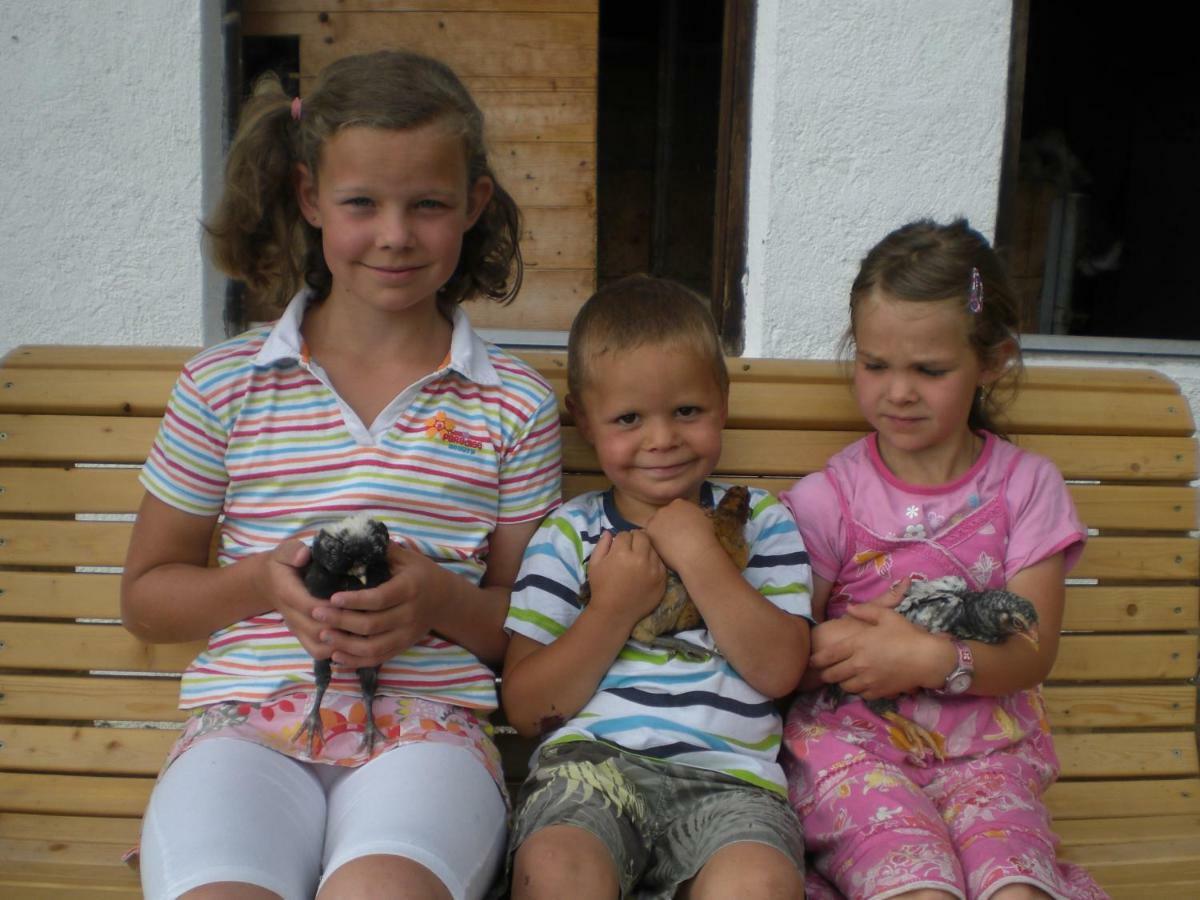 Chalet Niederhaushof ウルティモ エクステリア 写真
