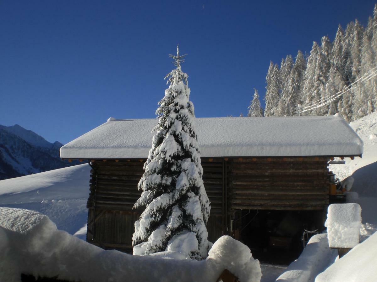 Chalet Niederhaushof ウルティモ エクステリア 写真
