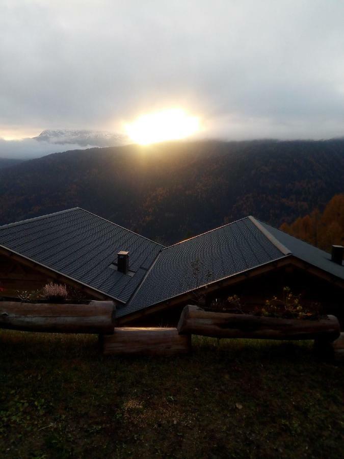 Chalet Niederhaushof ウルティモ エクステリア 写真