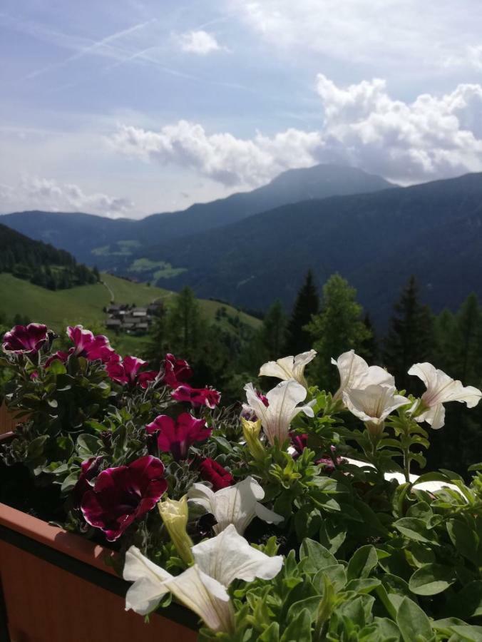 Chalet Niederhaushof ウルティモ エクステリア 写真