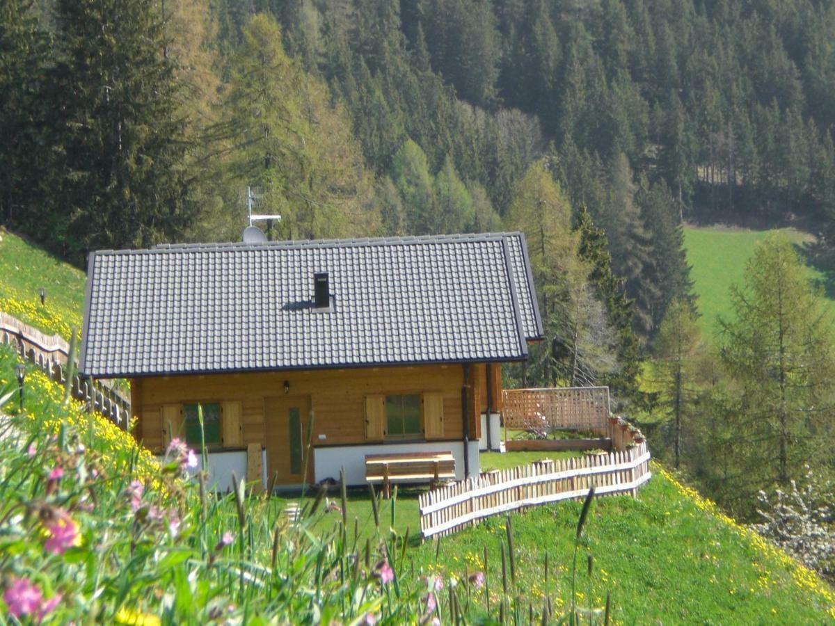 Chalet Niederhaushof ウルティモ エクステリア 写真
