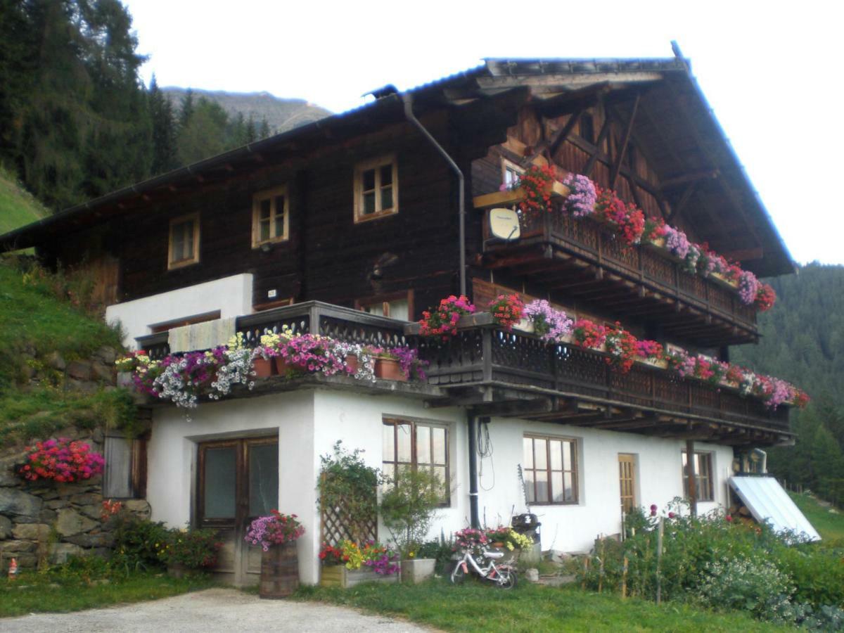 Chalet Niederhaushof ウルティモ エクステリア 写真