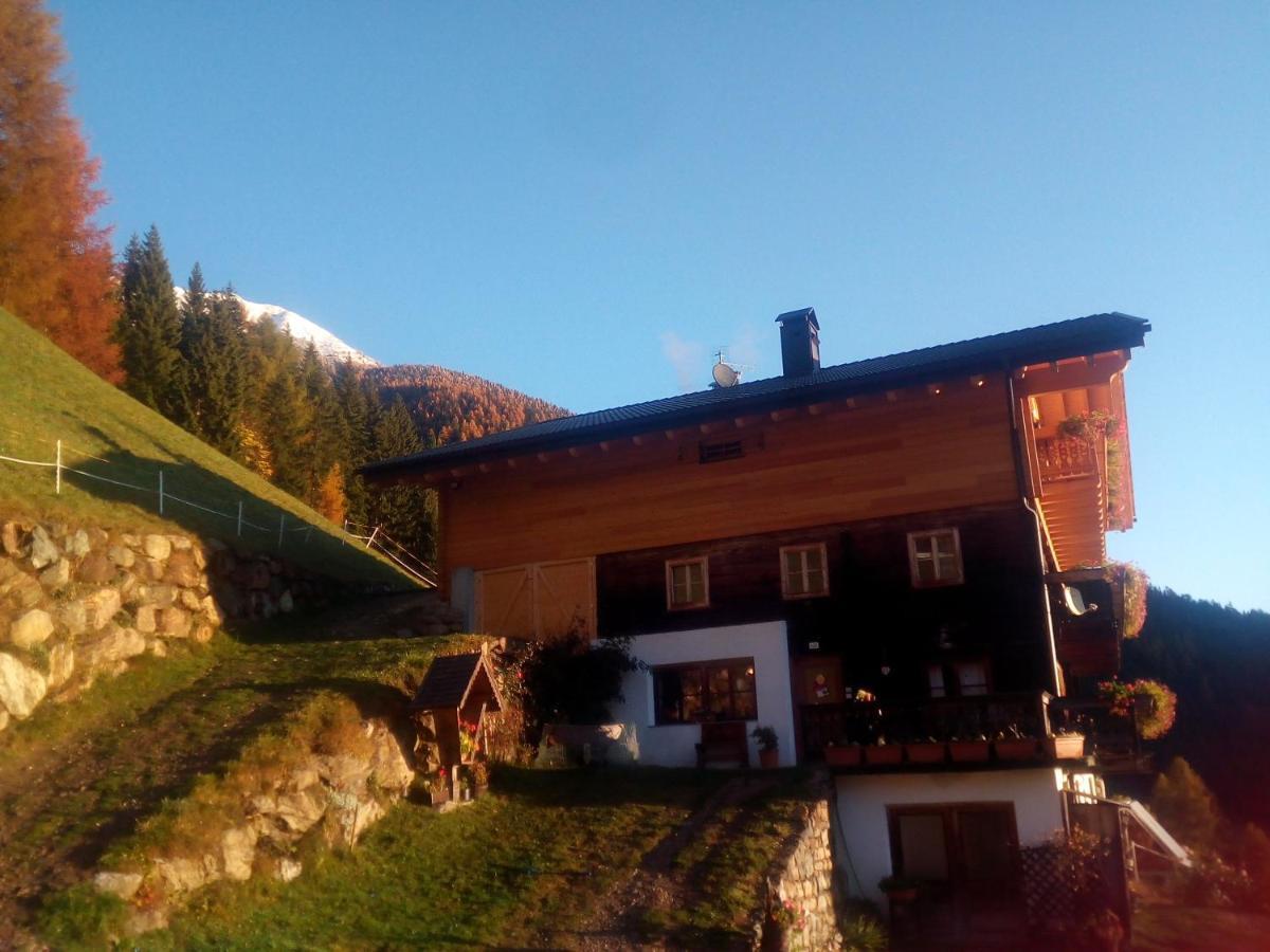 Chalet Niederhaushof ウルティモ エクステリア 写真