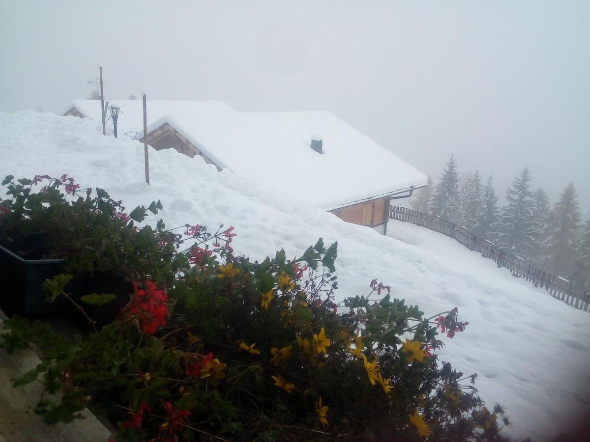 Chalet Niederhaushof ウルティモ エクステリア 写真