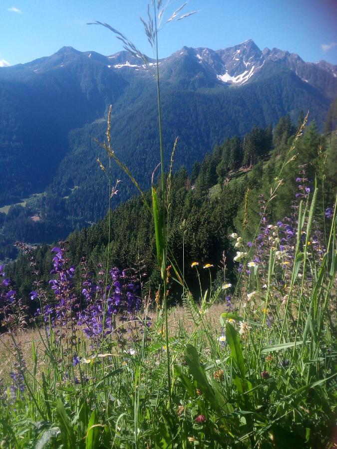 Chalet Niederhaushof ウルティモ エクステリア 写真