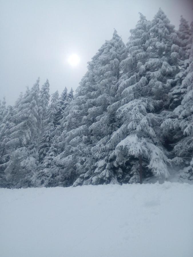 Chalet Niederhaushof ウルティモ エクステリア 写真